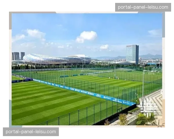 世界杯临近各国加紧训练基地建设，设施标准引关注